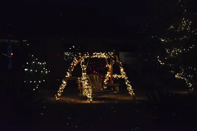 DSC_5814 (Large).JPG